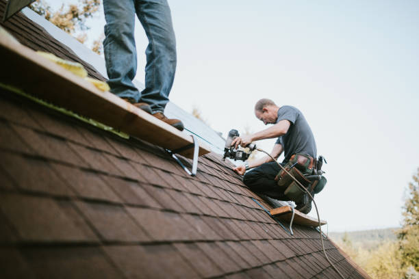 Best Roof Gutter Cleaning  in Clearwater, KS